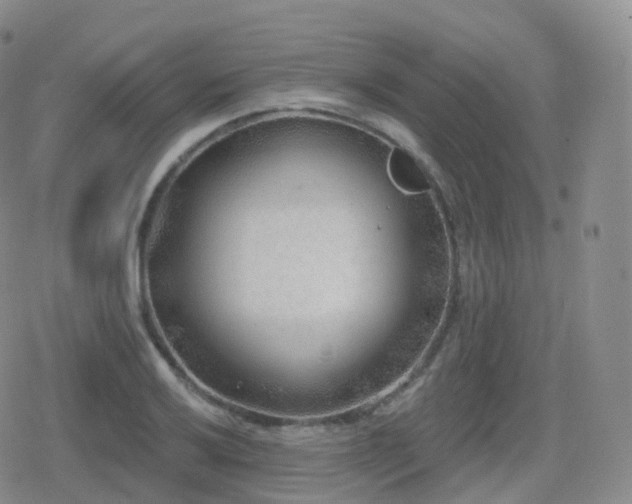 X0000080721032200612151154