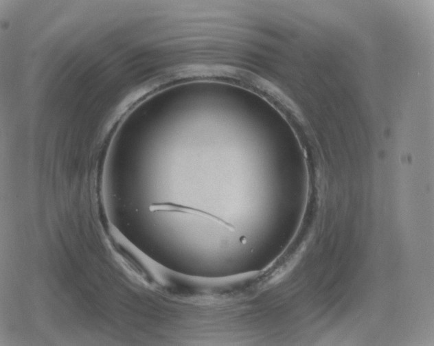 X0000080721033200612151154