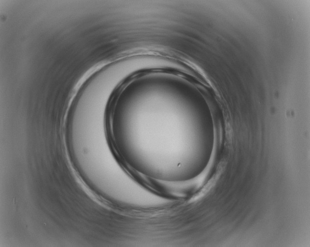 X0000080721034200612151154