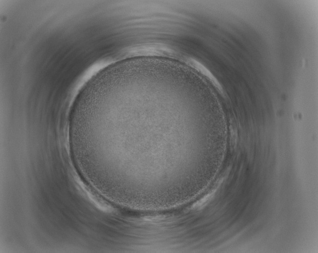 X0000080721035200612151154