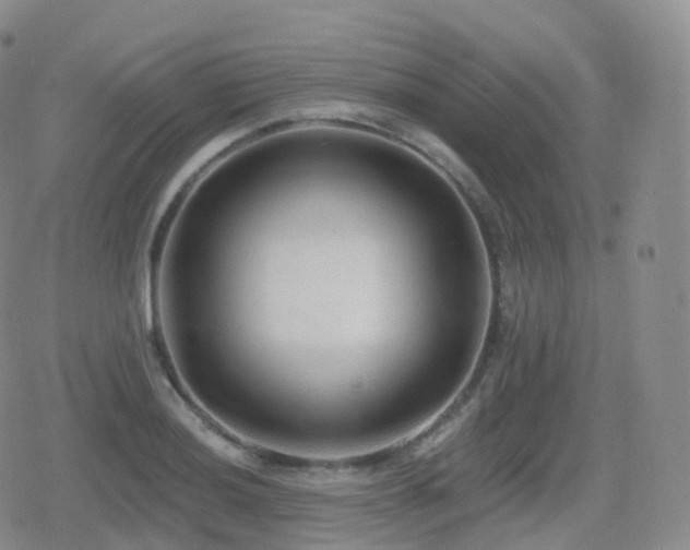 X0000080721036200612151154