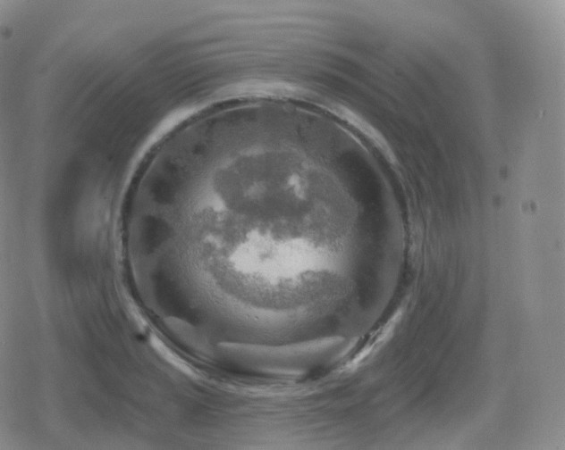 X0000080721037200612151154