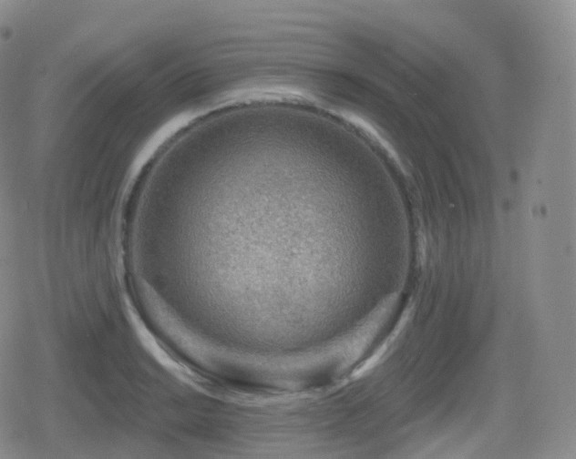 X0000080721038200612151154