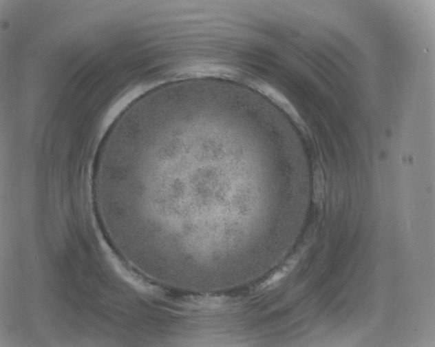 X0000080721039200612151154