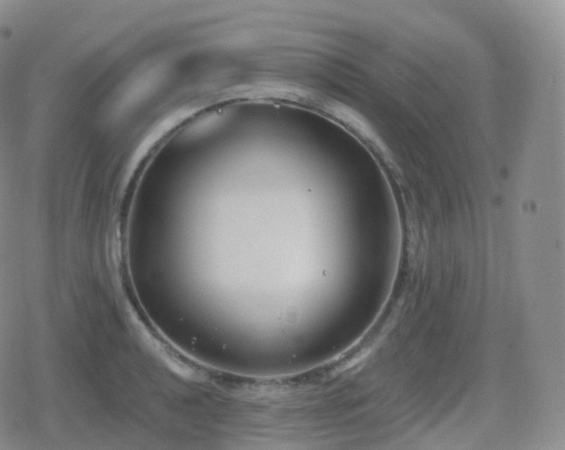 X0000080721040200612151154