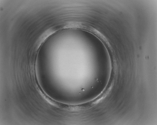 X0000080721041200612151154