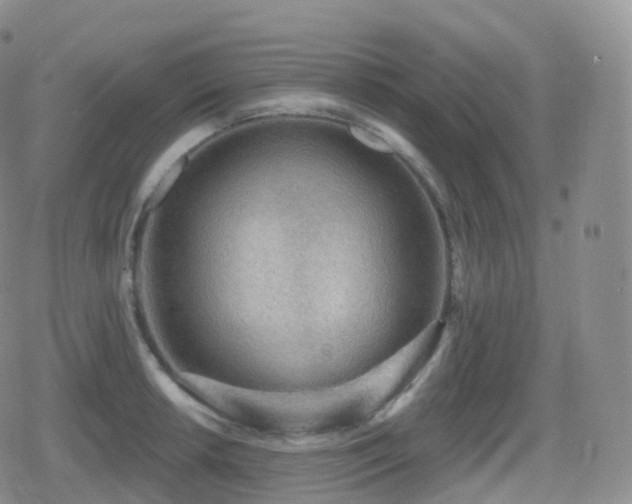 X0000080721042200612151154