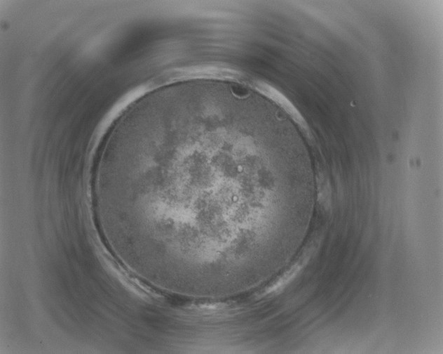 X0000080721043200612151154