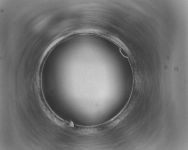 X0000080721044200612151154