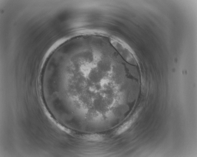 X0000080721045200612151154