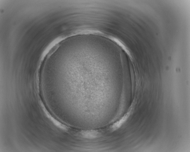 X0000080721046200612151154