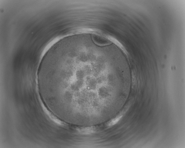 X0000080721047200612151154