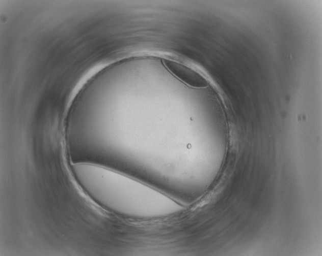 X0000080721048200612151154