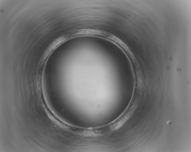 X0000080721049200612151154