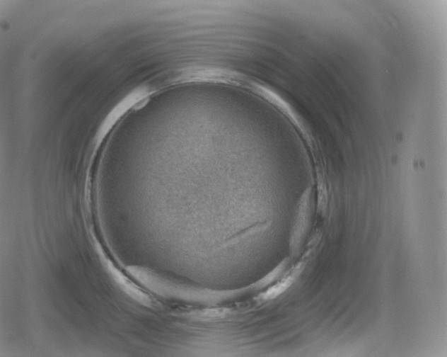 X0000080721050200612151154