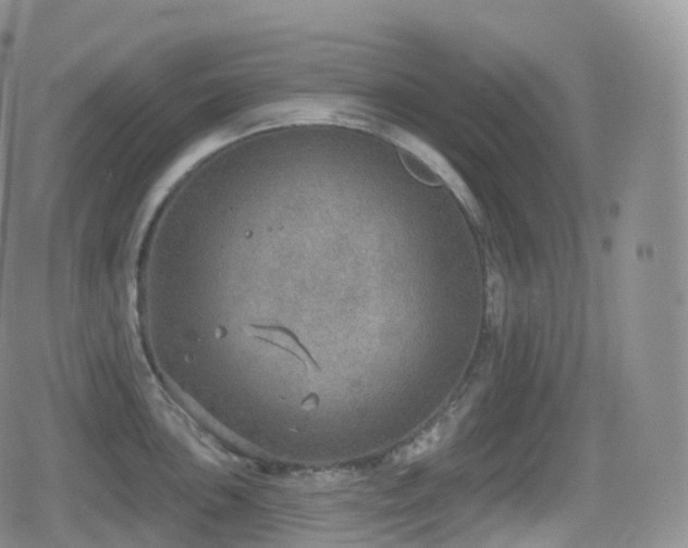 X0000080721051200612151154