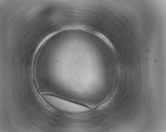 X0000080721052200612151154