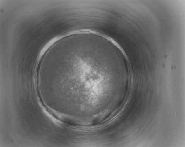 X0000080721054200612151154