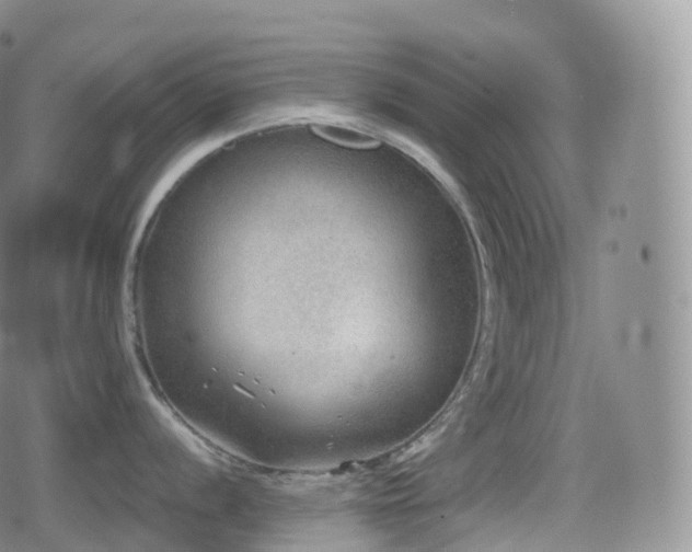 X0000080721056200612151154