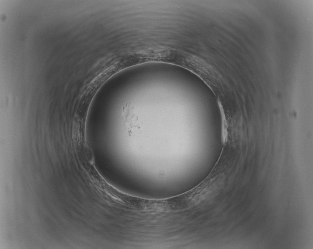 X0000080721058200612151153