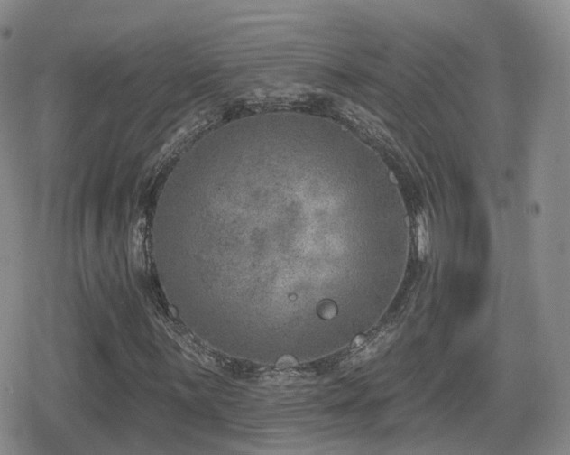 X0000080721059200612151153