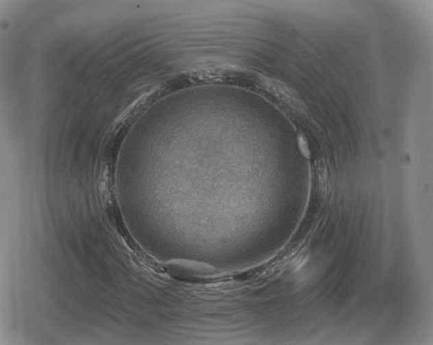 X0000080721060200612151153