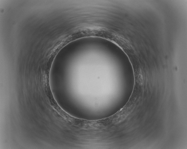 X0000080721061200612151153