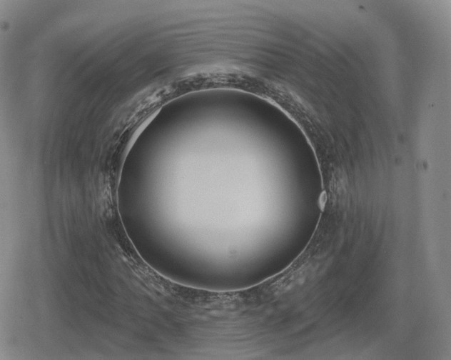 X0000080721062200612151153