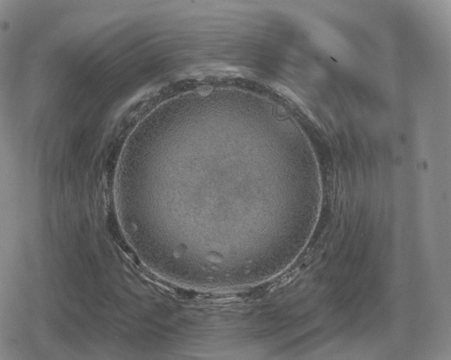 X0000080721063200612151153