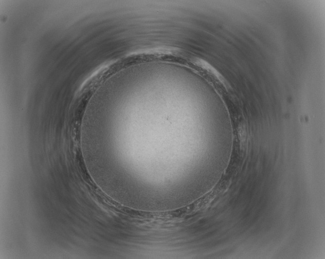 X0000080721064200612151153