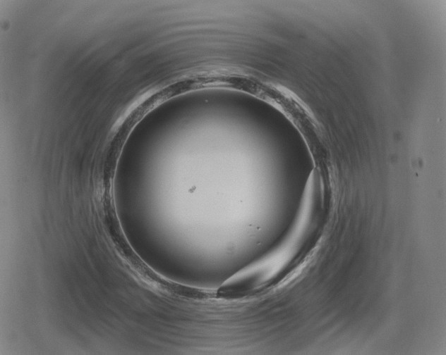 X0000080721065200612151153