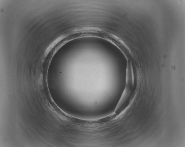 X0000080721066200612151153