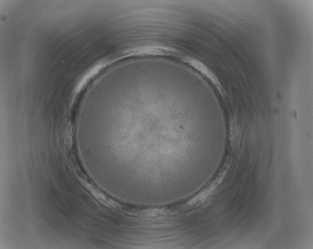 X0000080721067200612151153