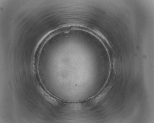 X0000080721068200612151153