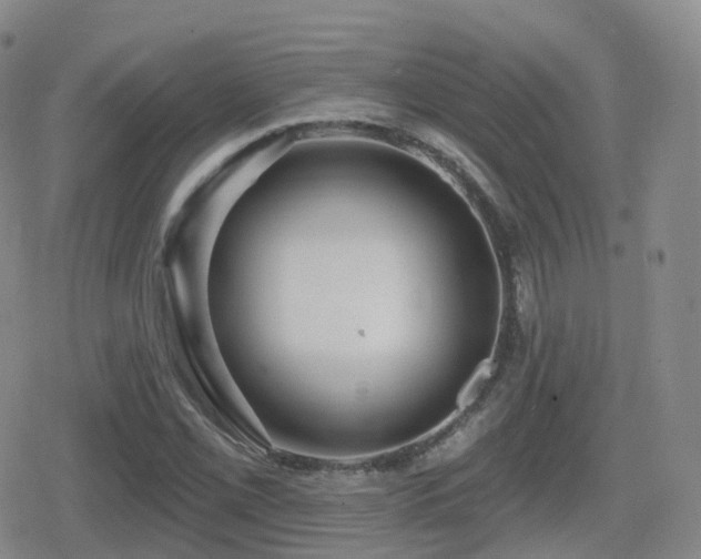 X0000080721069200612151153