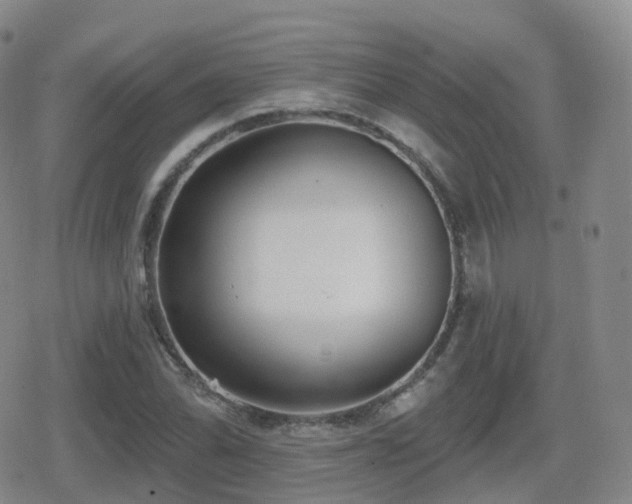 X0000080721070200612151153