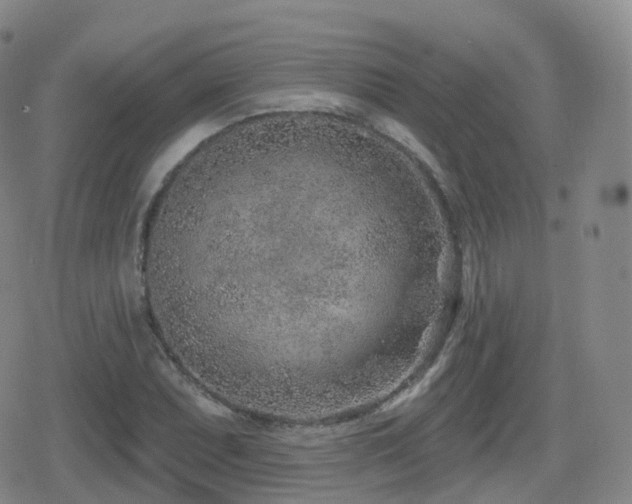 X0000080721071200612151153