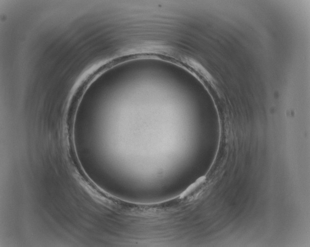 X0000080721072200612151153