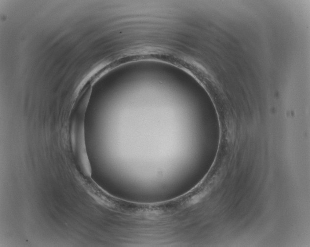 X0000080721073200612151153