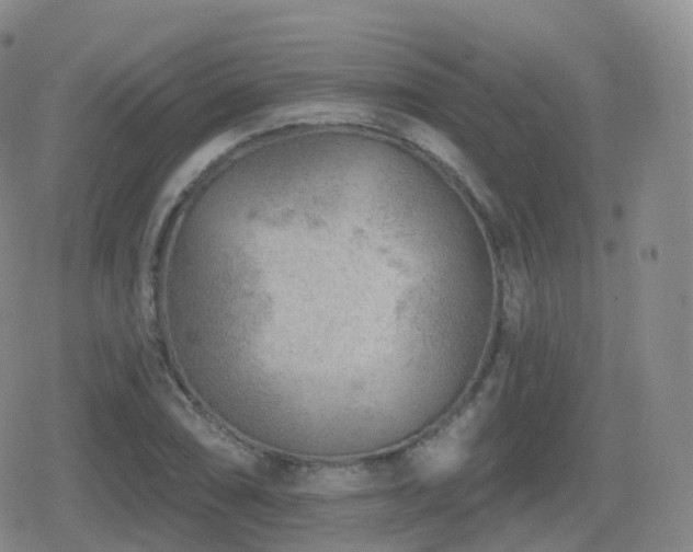 X0000080721074200612151153