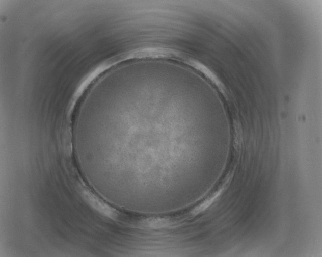 X0000080721075200612151153