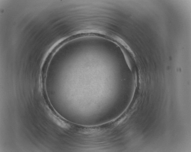 X0000080721076200612151153