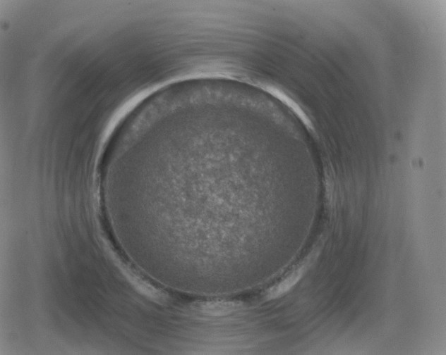 X0000080721077200612151153