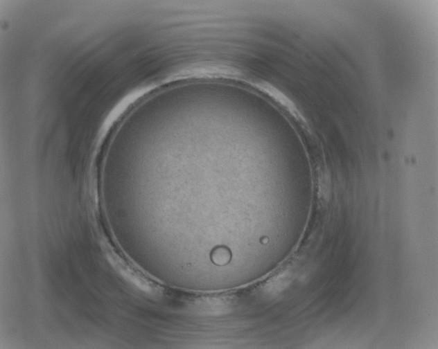 X0000080721078200612151153