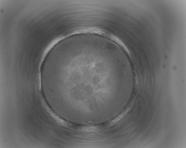 X0000080721079200612151153