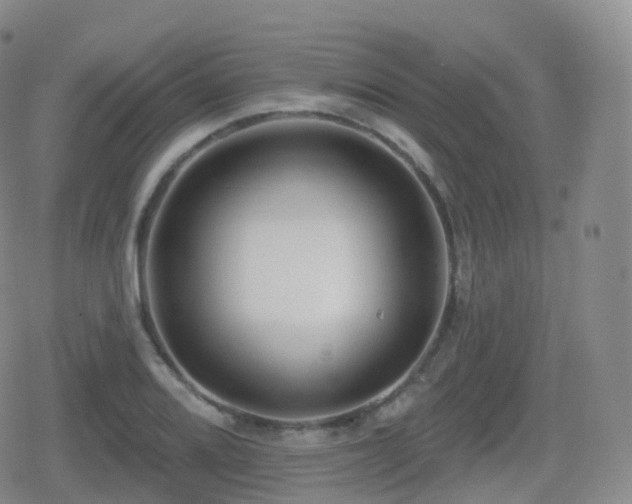 X0000080721080200612151153