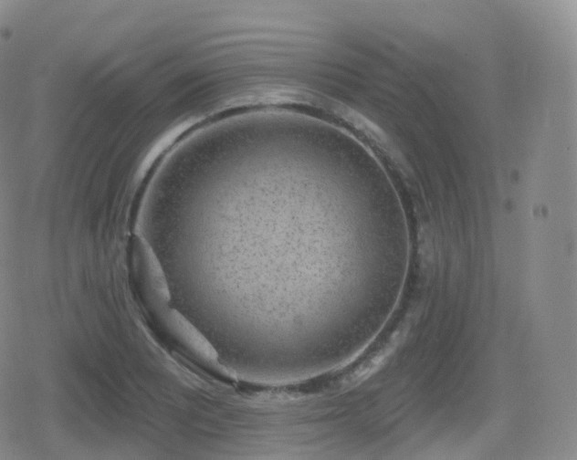 X0000080721081200612151153