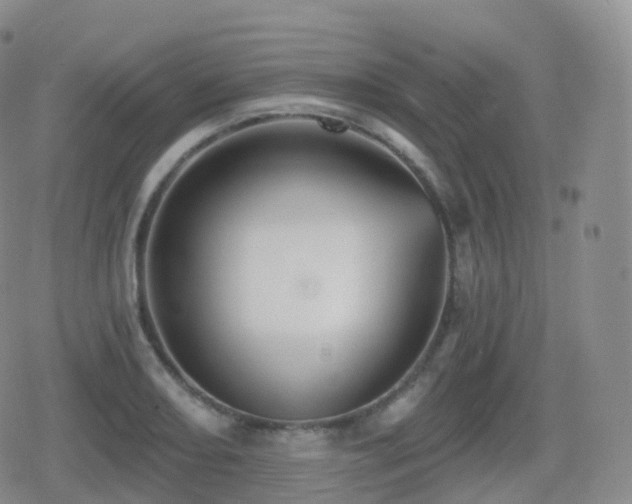 X0000080721082200612151153