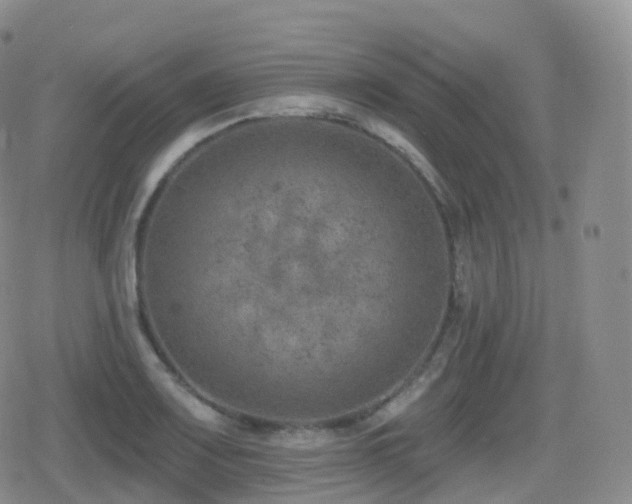 X0000080721083200612151153