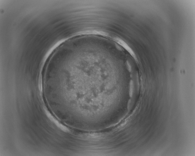 X0000080721084200612151153